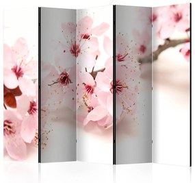 Διαχωριστικό με 5 τμήματα -  Cherry Blossom II [Room Dividers] 225x172