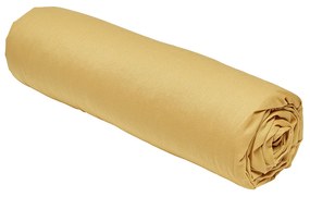 Σεντόνια με λάστιχο Today  DH 90/200+23 Coton TODAY Essential Ocre