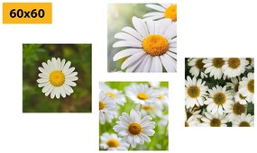 Σετ εικόνων μαγικά λουλούδια - 4x 40x40
