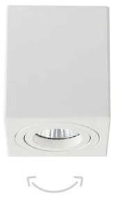 Φωτιστικό οροφής InLight 42026-Leuko