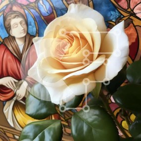 Intra Συλλεκτικό Ξύλινο Παζλ Plywood  4mm - Λευκό τριαντάφυλλο με φόντο βιτρό Σε Ξύλινο Κουτί - Διαστάσεις: 10x10 cm – 25 κομμάτια