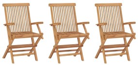 Καρέκλες Κήπου Πτυσσόμενες 3 Τεμαχίων από Μασίφ Ξύλο Teak