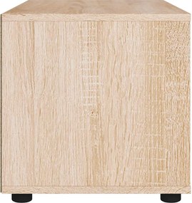 vidaXL ντουλάπι τηλεόρασης VISNES Δρυς Sonoma 60x40x38 cm