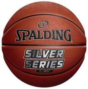 Μπάλα Μπάσκετ Outdoor Spalding Silver Series Νο 7 84-541Z1