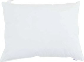 vidaXL Μαξιλάρι με μαξιλάρι 2 pcs Λευκό 60 x 80 cm Βαμβάκι