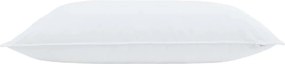 vidaXL Μαξιλάρι με μαξιλάρι 2 pcs Λευκό 40 x 80 cm Βαμβάκι