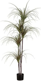 Τεχνητό Δέντρο Dragon Blood Tree 20016 Φ140x180cm Multi Globostar Πολυαιθυλένιο