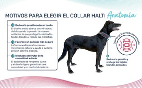 Κολλάρο Σκύλου Company of Animals Γκρι