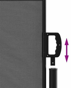 vidaXL Πτυσσόμενη Πλαϊνή Τέντα Ανθρακί 140x500 εκ.