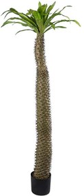 Τεχνητό Δέντρο Pachypodium Lamerei Palm Tree 20130 Φ70x175cm Brown-Green GloboStar Πολυαιθυλένιο