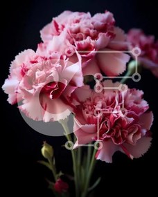 Intra Συλλεκτικό Ξύλινο Παζλ Plywood 4mm - Τρία ροζ γαρίφαλα σε γυάλινο βάζο Σε Ξύλινο Κουτί - Διαστάσεις: 10x10 cm – 25 κομμάτια