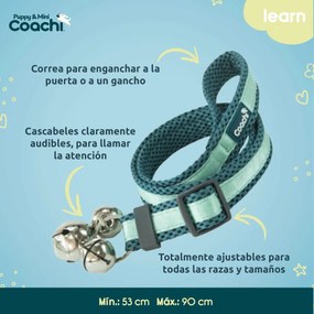 Λουρί Σκύλου Coachi