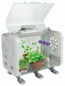 Terrarium Clementoni