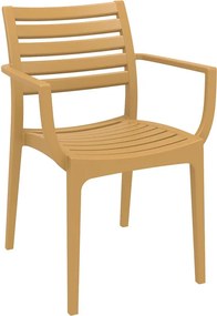 ΠΟΛΥΘΡΟΝΑ ΠΟΛΥΠΡΟΠΥΛΕΝΙΟΥ ARTEMIS TEAK
