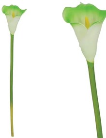 MarHome ΚΛΑΔΙ ΚΑΛΛΑΣ ΠΡΑΣΙΝΟ REAL TOUCH 12x60cm. 20/432KIB  00-18065-4