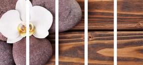 Εικόνα 5 μερών πέτρα ευεξίας και ορχιδέα σε ξύλινο φόντο