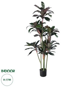 20041 GloboStar®  Artificial Garden MELANY FICUS 20041 Τεχνητό Διακοσμητικό Φυτό Φίκος Υ170cm
