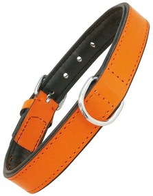 Κολλάρο Σκύλου Gloria Γεμισμένο Πορτοκαλί (45 x 2 cm)