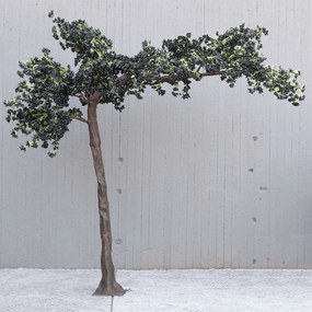 Τεχνητό Δέντρο Βουκαμβίλια 5650-6 360x320cm Black Supergreens Fiberglass