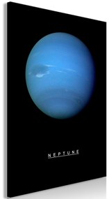 Πίνακας - Neptune (1 Part) Vertical - 40x60