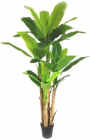 New plan BANANA TREE  NP018_280_22 ΥΨΟΣ 280cm Τεμαχιο