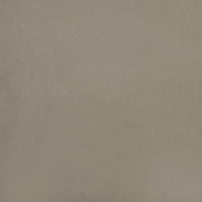 vidaXL Πολυθρόνα Ανοιχτό Γκρι 63 x 76 x 80 εκ. Βελούδινη