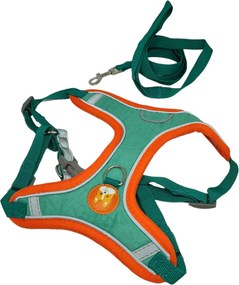 Σαμαράκι για Σκύλους με Λουρί