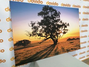 Εικόνα ενός μοναχικού δέντρου στο ηλιοβασίλεμα - 90x60