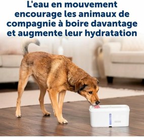 Σιντριβάνι Κατοικίδιων Ζώων PetSafe Λευκό