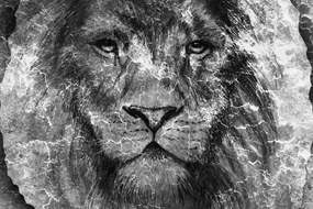 Εικόνα προσώπου λιονταριού σε ασπρόμαυρο