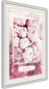 Αφίσα - Scent of Peonies - 40x60 - Μαύρο - Με πασπαρτού