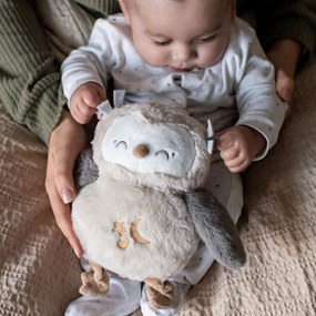 Ollie Η Κουκουβάγια Με Λευκούς Ήχους Gro Company Deluxe Sleep 491646