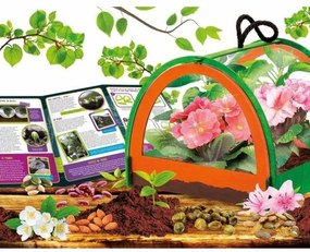 Παιχνίδι Επιστήμης Lisciani Giochi