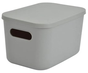 Κουτί Αποθήκευσης (25x17.5x14.5) L-C Gris 6RAN840GR