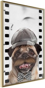 Αφίσα - Dressed Up Pug - 20x30 - Χρυσό - Χωρίς πασπαρτού