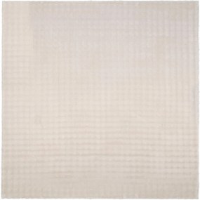 vidaXL Χαλιά χώρου τετράγωνο SIROLO Μπεζ 200 x 200 cm Πολυεστέρας