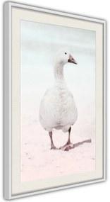 Αφίσα - Walking Goose - 40x60 - Χρυσό - Με πασπαρτού