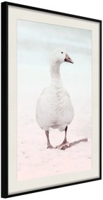 Αφίσα - Walking Goose - 20x30 - Μαύρο - Με πασπαρτού