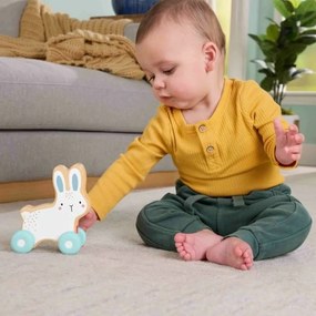 Αρθρωτό Σχήμα Fisher-Price