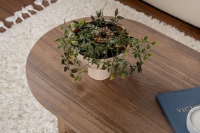 Τραπεζάκι Σαλονιού Καρυδιά SABLE 119x60x40