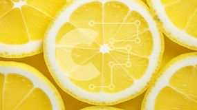 Σετ των 2 Intra Συλλεκτικό Ξύλινο Παζλ Plywood 4mm - Κοντινό πλάνο φέτες λεμονιού Σε Ξύλινο Κουτί - Διαστάσεις: 10x10 cm – 25 κομμάτια