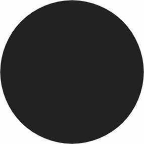 vidaXL Αυτοκόλλητη Κάλυψη Βιδών 2 pcs Μαύρο Ø 20 x 0,5 mm