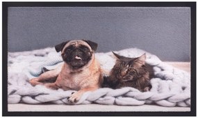 Πατάκι Εισόδου (40x60) Image 012 Cat Dog Γκρι-Sdim