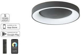 SE LED SMART 60 AMAYA CEILING BLACK Δ3