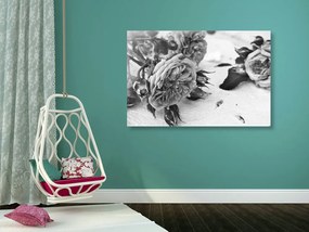 Εικόνα ενός ανθισμένου τριαντάφυλλου σε μαύρο & άσπρο - 90x60