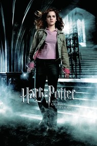 Εικονογράφηση Harry Potter and the Goblet of Fire - Hermione