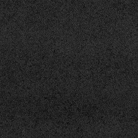 vidaXL Χαλάκι Εξώπορτας Μαύρο 120 x 250 cm 100% Πολυαμίδιο