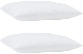 vidaXL Μαξιλάρια 2 pcs Λευκό 30 x 50 cm