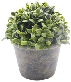 Τεχνητό Φυτό Σε Γλάστρα Πυξάρι 832385 15,3x15,3x15,9cm Green-Beige Ankor Ceramic
