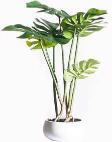 Τεχνητό Φυτό Μονστέρα 8550-6 40x40x65cm Green Supergreens Πολυαιθυλένιο